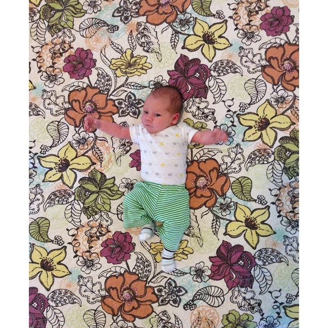 Peyton's Vintage Floral Crib Sheet