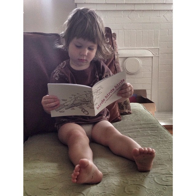 Finished product. #birdsbirdsbirds